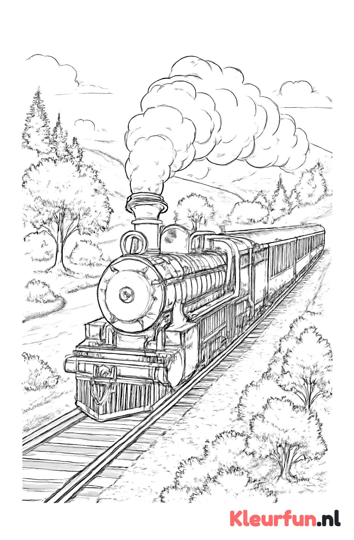 Stoomtrein door het landschap