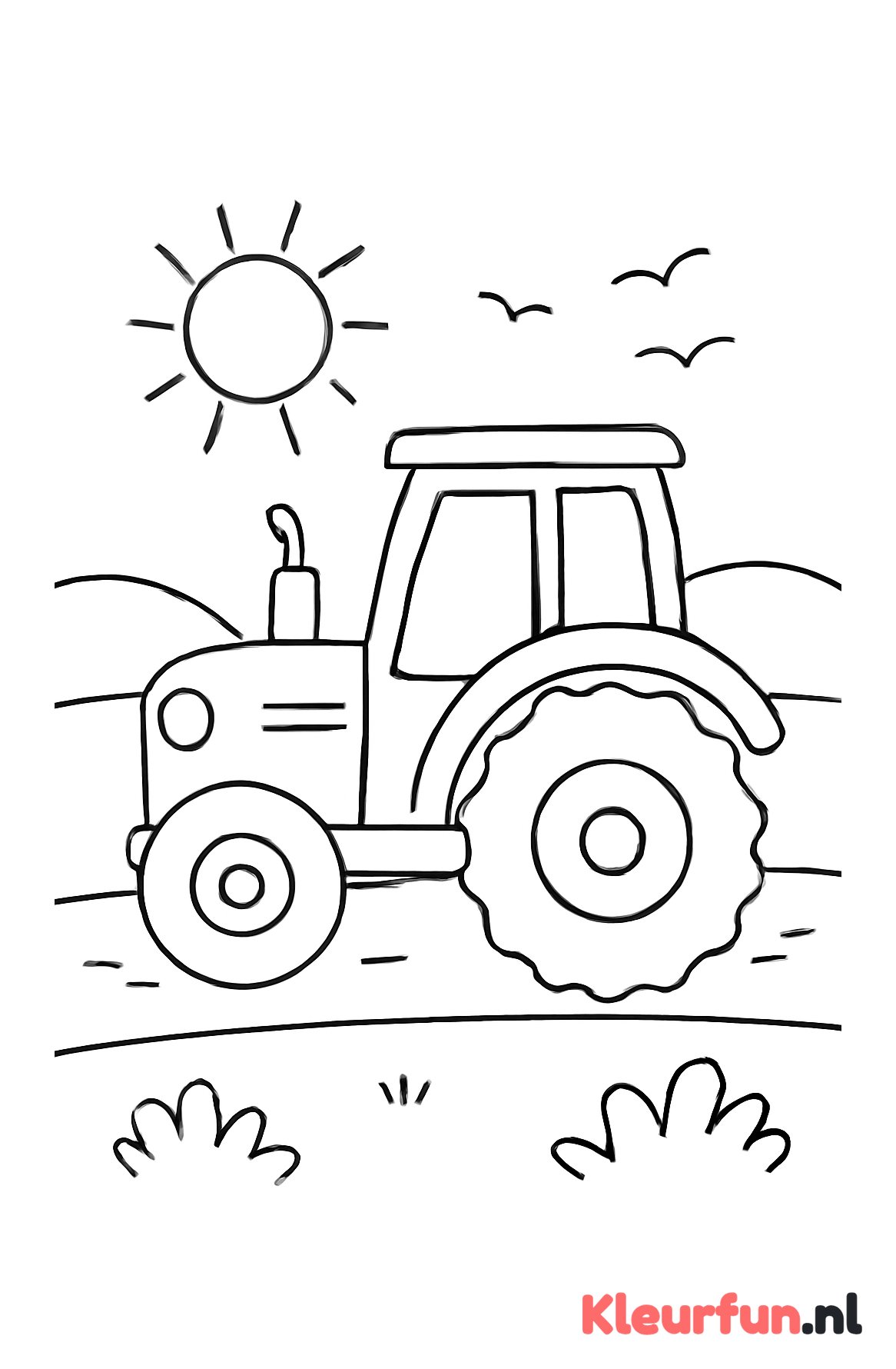 Tractor op Landweg met Zon en Vogels