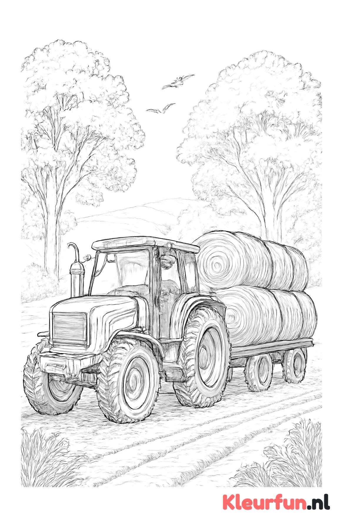 Tractor met hooibalenwagen
