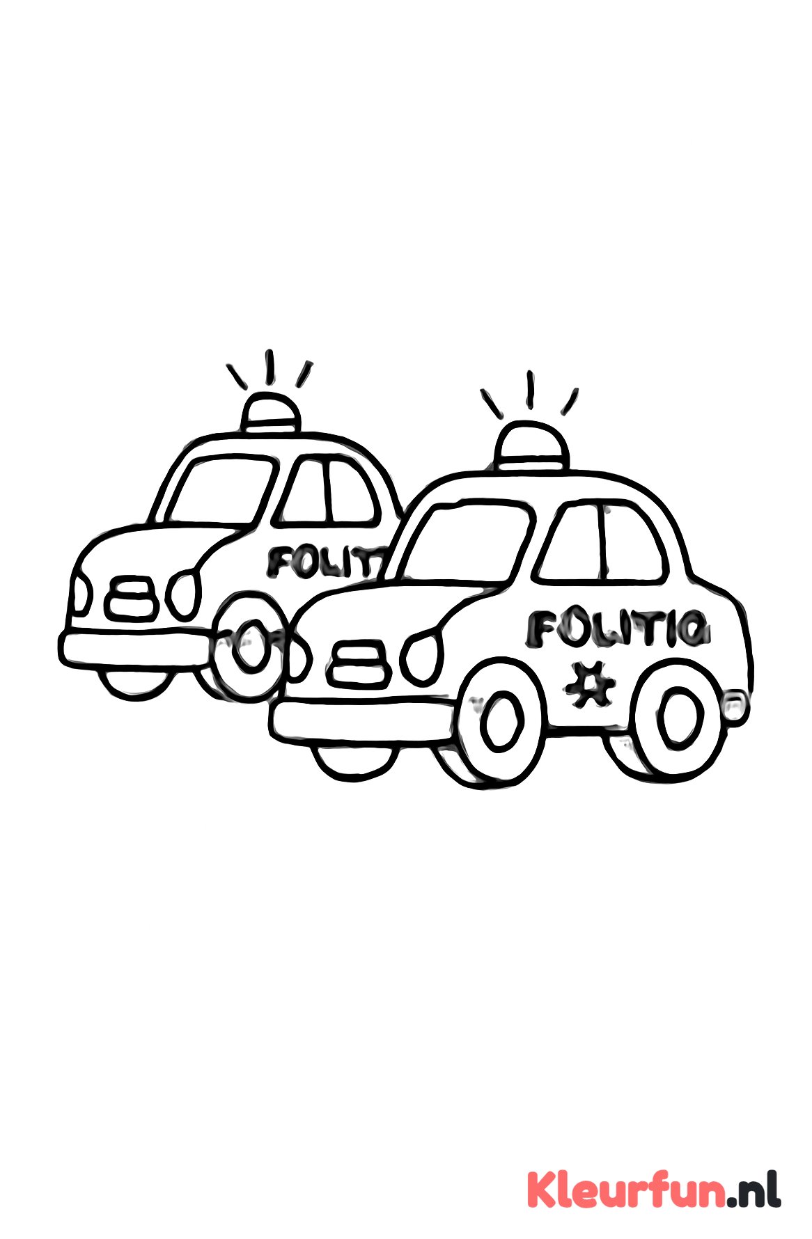 Twee politieauto's naast elkaar