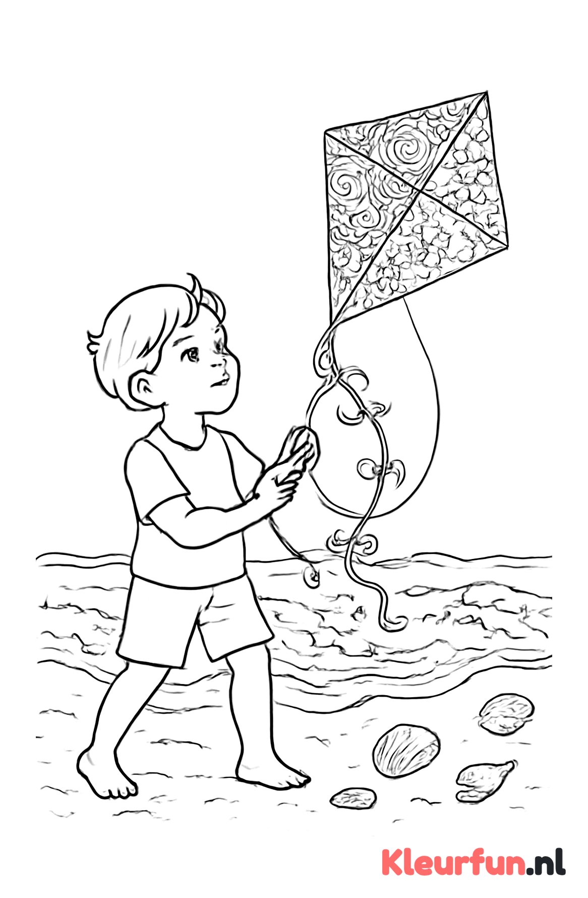 Vlieger op het strand