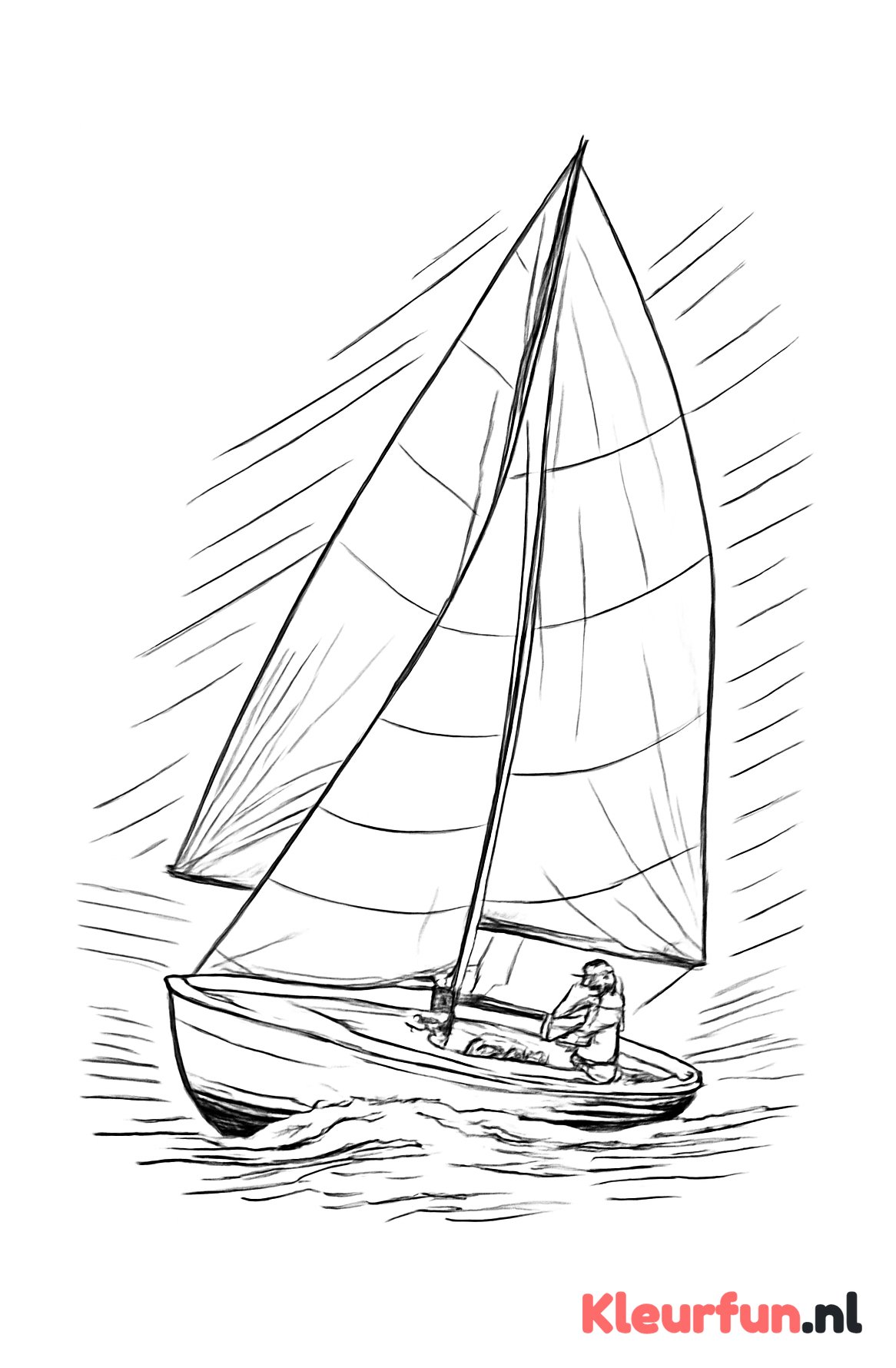 Zeilboot in race